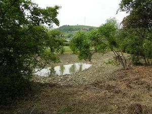Area naturalistica "Rivi"