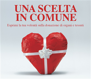 Una Scelta in Comune